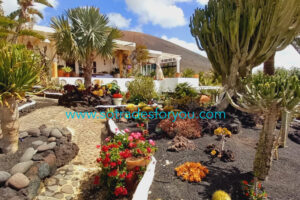 LA-ASOMADA-2024-STFY27