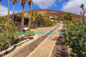 LA-ASOMADA-2024-STFY51