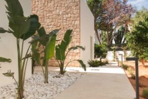 PHOTO-2024-07-05-12-12-07-2