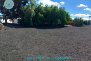 TAHICHE-2023-STFY92-1-1024x750